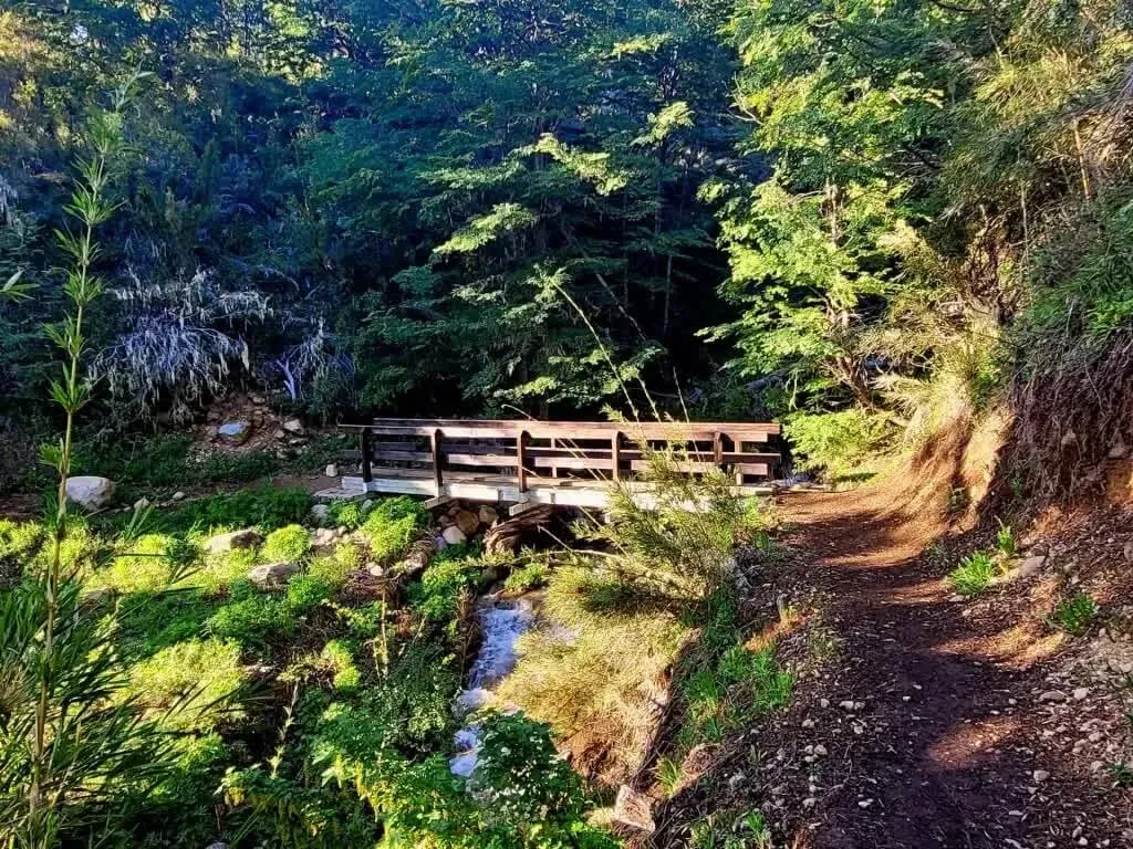 Galería imagen 3